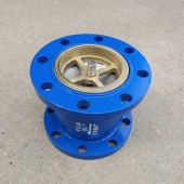 止回阀（DN80）