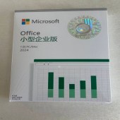 微软OFFICE2024小型企业版